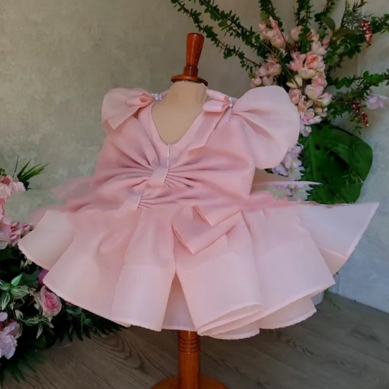 Flower Girl Puffy Princess Dress