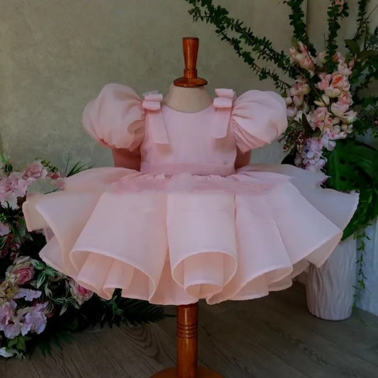 Flower Girl Puffy Princess Dress