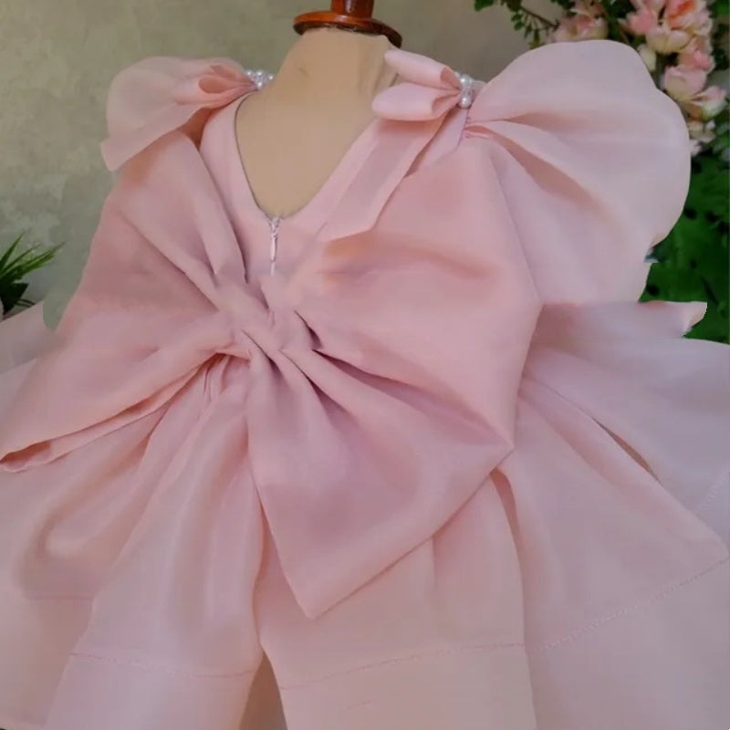 Flower Girl Puffy Princess Dress