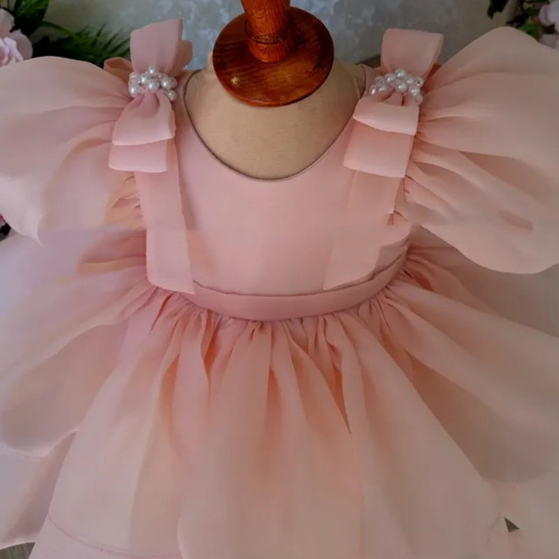 Flower Girl Puffy Princess Dress