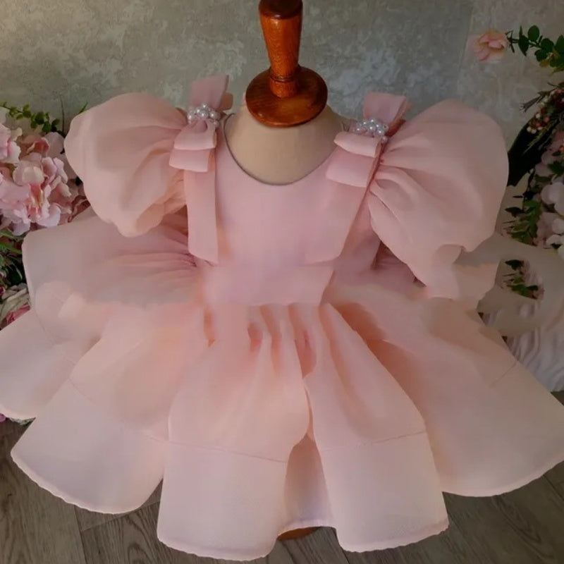 Flower Girl Puffy Princess Dress